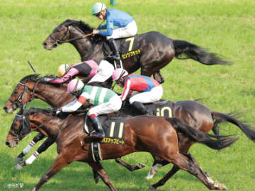 【ラジオNIKKEI賞】前走連対＋ハンデ55～56kgは買い！白百合S組で見る攻略POINT