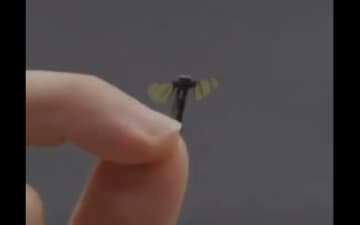 中国が「蚊サイズ」の監視ドローンを開発　軍事・諜報への活用に懸念の声も
