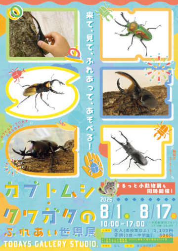 夏休みは東京・浅草橋の「カブトムシ・クワガタのふれあい世界展」と「まるっと小動物展」へ