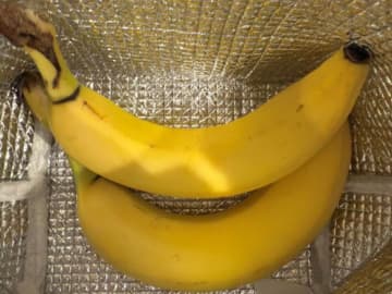 バナナは冷やすべき？　意外な正解に「知らなかった」「すぐやる」