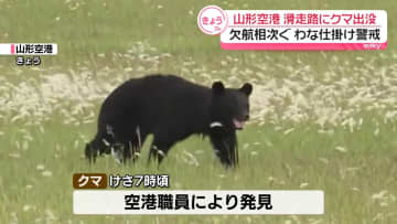山形空港の滑走路にクマ出没　欠航相次ぐ