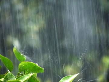 今年の梅雨は「大雨災害」に警戒…どのくらい降ると危険!? 1時間の降水量に応じた“災害発生の目安”を解説