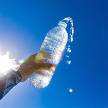 グリーンランドの氷山からの水、ミシュランレストランで95ドルで販売中