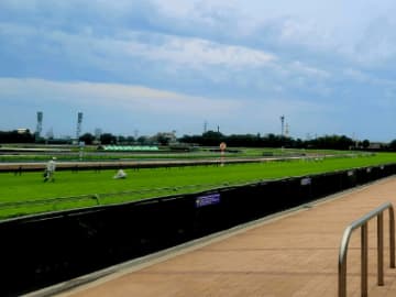 【函館記念】前走で凡走した馬に注目！函館記念３つの攻略ポイントとは！？