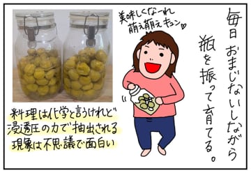 梅シロップを漬けて美味しく熱中症対策