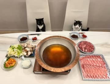 藤あや子、自宅で食べた子どもの頃からの大好物を紹介「大絶賛のおうちごはん」