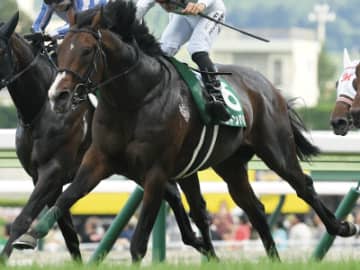 【ラジオNIKKEI賞】内枠が好成績、大外枠は苦戦！枠順で見る攻略POINT