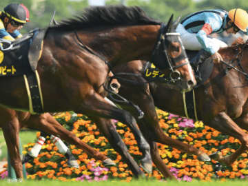 【ラジオNIKKEI賞】好走馬の多くは中4～8週の間隔！レース間隔で見る攻略POINT