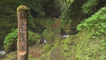 専門家も認める「コケの聖地」富山・千巖渓の魅力 - 梅雨時こそ訪れたい隠れた観光スポット
