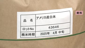 関税ゼロで輸入“ミニマムアクセス米”主食用の入札が例年より2カ月前倒しでスタート　小泉農水相「米の価格の高騰を抑えて消費者に安心していただく」