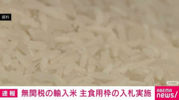 無関税の輸入米 主食用枠の入札実施