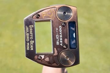 パット134位から復調なるか キム・シウーがAI設計の“キリン”パターを投入
