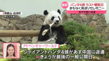 あす中国返還　パンダ4頭の見送りセレモニー開始へ　和歌山・白浜町
