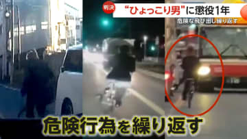 【判決】千葉県各地に出没“ひょっこり男”に懲役1年の実刑…走行車両の前に自転車で危険な飛び出し繰り返す「強く非難」千葉地裁・松戸支部