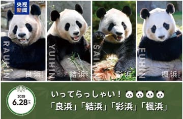 在日パンダ4頭が28日に帰国、ファンが別れを惜しむ