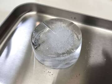 ふわふわのかき氷を作る方法は？　ニチレイフーズの助言で「家でも簡単にできた！」