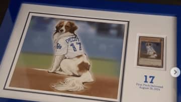 大谷翔平の愛犬・デコピン、まさかの遊戯王カード化「お宝カード」「翔平くんが反射して映ってる」