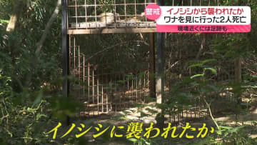 イノシシに襲われたか、徳島でワナ見に行った2人死亡　山梨で女性かまれケガ　全国でも被害相次ぐ