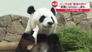 和歌山のパンダ4頭“最後の別れ”　「言葉にならない」涙も…