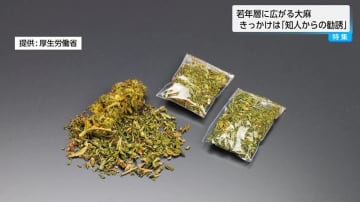 若者の間で大麻が蔓延　きっかけは「知人からの勧誘」「好奇心や興味本位」　SNSには大麻の危険性を軽視する情報も【宮崎県】
