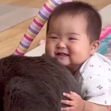 赤ちゃんが『猫とのスキンシップ』を覚えた結果…とんでもなく尊い『まさかの光景』が57万再生「なんて優しい世界」「本当に可愛すぎる」