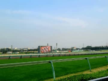 【函館記念】過去10年で大穴配当が７回!? 波乱込みで考えたい三連単的中戦術！
