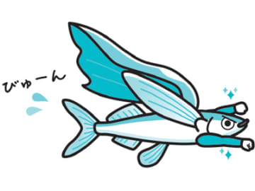 「せっかく飛んだのに…」飛びすぎて食べられちゃうトビウオの面白い生態とは！？【眠れなくなるほど面白い 図解 魚の話】