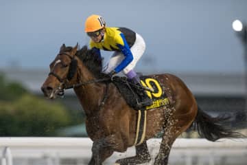 【帝王賞】武豊ノットゥルノ、川田ウィルソンテソーロなどJRAは6頭