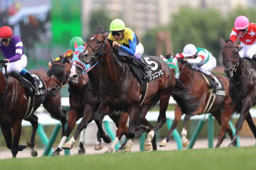 武豊騎手 今週の騎乗馬…土曜メインはゾンニッヒ