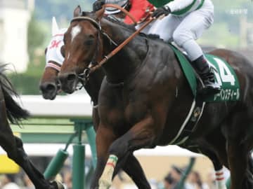 【ラジオNIKKEI賞】ハンデ52キロ以下の馬券は買ってはいけない！？