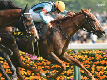 【ラジオNIKKEI賞】軽ハンデ馬不振の傾向も影響か？牝馬の馬券は買ってはいけない！？