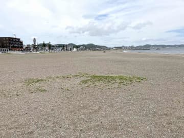 2年ぶりに海水浴場を開設へ　三浦海岸、市が設置