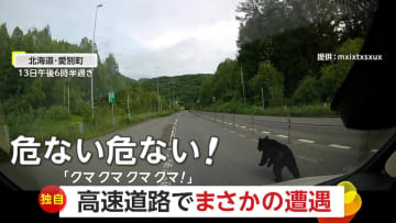 【独自】「クマ、クマ、クマ、クマ！」高速道でクマが飛び出し…あわや衝突も急ブレーキで回避　北海道・愛別町