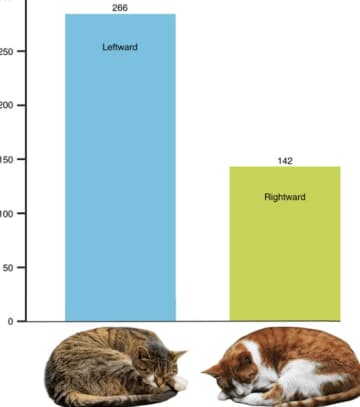 猫の寝方の法則がバズりまくる！眠る猫408匹を調査、65％が左巻きだった衝撃に「これ何の集計w」と総ツッコミ