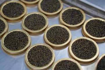 キャビア・ウナギ・真珠、江西省の隠れた特産品―中国