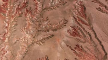 「大地に描かれた木」丹霞地形に現れた自然美　中国内モンゴル自治区