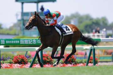 【函館4R】武豊が3勝と絶好調！アルマデオロで抜け出す