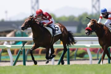 【新馬/函館5R】インディチャンプ産駒 フィオラーノがデビューV