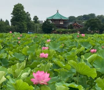 さんたつ読者&編集部おすすめの「夏に歩きたい水辺」11選。梅雨が明けたら行ってみよう！