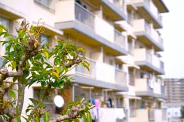 暴言夫が仕事中に団地に引っ越し、“昼逃げ”を決行した50代女性　3か月後、元夫からかかってきた電話の内容とは