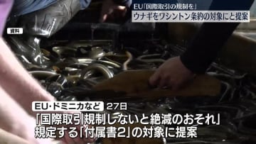 EU、全てのウナギをワシントン条約対象に提案…国際取引を規制