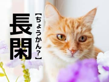【長閑】なんて読む？「ちょうかん」ではありません。意外すぎる読み方とは【読めそうで読めない漢字クイズ】