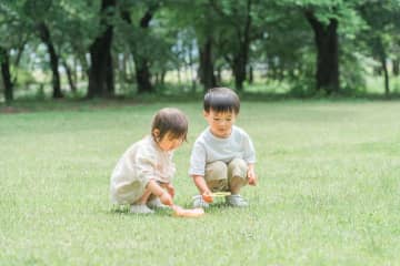 山本周五郎の『雨の山吹』あらすじ紹介。家族の絆が試される！支え合う力と生きる強さとは？