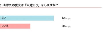 【調査】「犬見知り」をする犬はどれくらい？対策について獣医師に聞いた