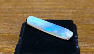 胸熱…1億年かけた"イカ"の宝石！？宝石化した古代イカのロマン　奇跡のオパールに注目集まる