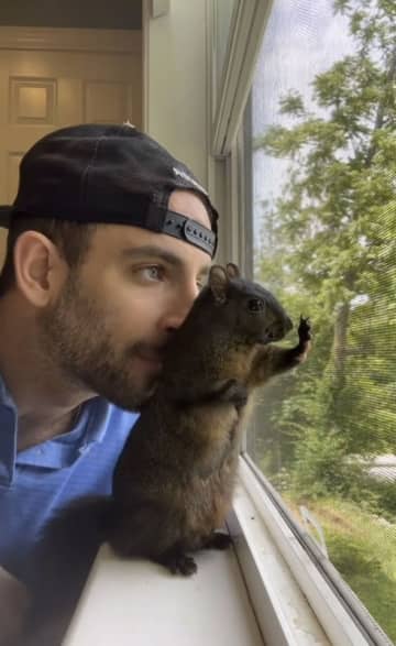 狂犬病疑いで殺処分の米人気リス「ピーナツ」　飼い主がＮＹ当局を相手に復讐の訴訟