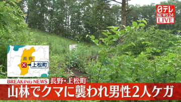 山林でクマに襲われ…男性2人けが　長野・上松町