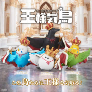 セキセイインコたちが王様気分で登場！ ガチャ「王様気鳥-おうさまきどり-」が7月中旬に発売インコを飼っている企画者が徹底監修した4種がラインナップ