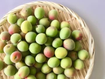 今年も仕込みたい！簡単・おいしい『梅仕事』の魅力と保存のコツ