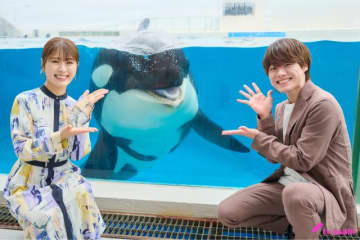 「リベンジ・スパイ」大橋和也＆渋谷凪咲、水族館ロケでも抜群の掛け合い！　元気の素はアイス!?